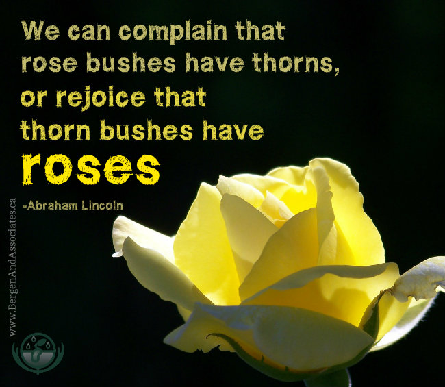 We can complain that rose bushes have thorns or rejoice that thorn bushes have roses. Abraham Lincoln. Poster by Bergen and associates.